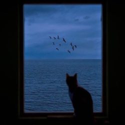 دانلود بیت آراندبی غمگین بنام Ocean با آهنگسازی Sepanta